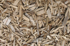 biomass boilers Ulrome